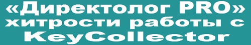 Директолог PRO