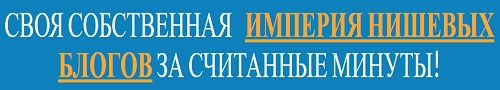 собственная империя нишевых блогов